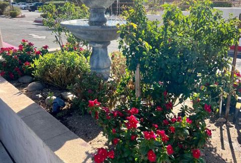 Victorville Hotel | Convenient Park Avenue Inn & Suites with Pool Access