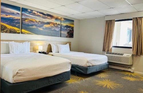 Wheatland Hotel | Pet-Friendly Retreat at Wheatland Steamboat Inn
