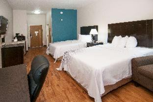 San Antonio Hotel | Pet-Friendly Days Inn & Suites Near Frost Bank Center