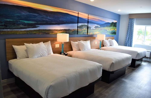 Greater East End Hotel | Discover Days Inn & Suites: Comfort Near University of Houston
