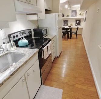 Capitol Hill Apartment | DC Dweller Eastern Market Gem