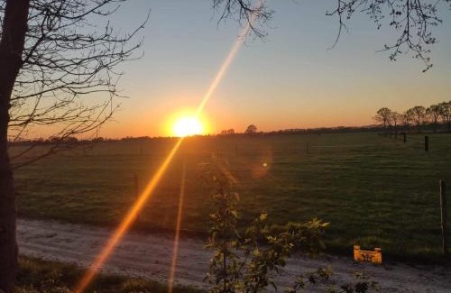 Zorgvlied House | Discover De Boomklever: Top-Rated Pet-Friendly Retreat