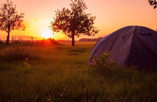 Hem House | Delightful De Boterhal: Family-Friendly Nature Retreat
