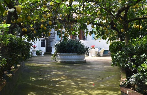 Schiazzano Apartment | De Gregorio: Pet-Friendly Retreat with Top Guest Ratings