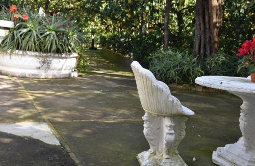 Schiazzano Apartment | De Gregorio: Pet-Friendly Retreat with Top Guest Ratings