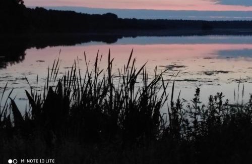 Thulsfeld House | Stay at De hümmelske Bur: Family-Friendly with Great Amenities