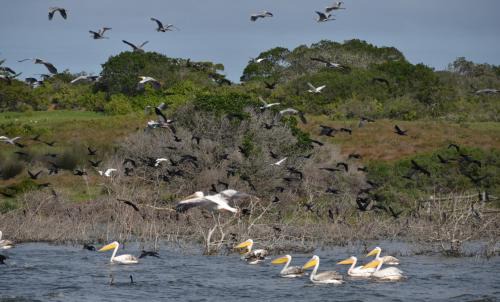 Overberg Resort | Experience De Hoop Collection - Vlei Cottages with Ocean Views