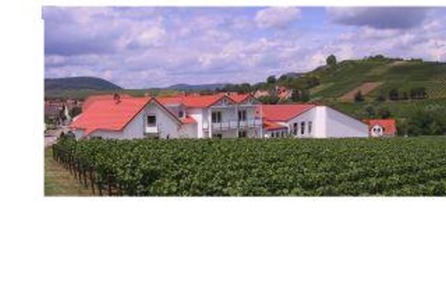 Ilbesheim Bed & Breakfast | Cozy 2-Bed Apartment at Weingut-Gästehaus Hans Dieter Bosch