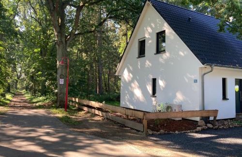 Barhoft House | Family-Friendly Retreat at Ferienhaus am Hafen