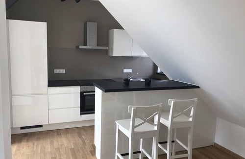 Lausnitz Apartment | Inviting Rooftop Apartment with Fireplace & Pet-Friendly Perks