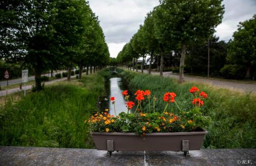 Wachtebeke Bed & Breakfast | Pet-Friendly Getaway at De Minnetuin - Rated 9/10!