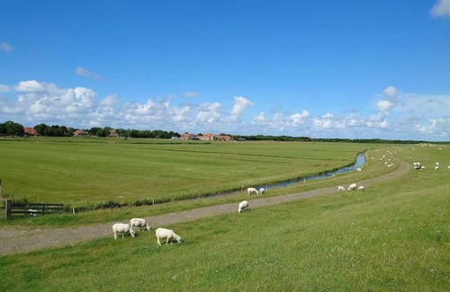 Municipality of Terschelling Apartment | Discover De Oostkamer: Family-Friendly Stay by Boschplaat