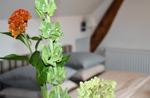 Beek Bed & Breakfast | De Oude Limonadefabriek: Rated 9.4 with Oceanfront Views