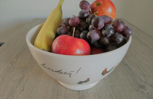 De Koog Bed & Breakfast | Ocean View Escape at De Ruige Hoogte - Guest Rated 9/10
