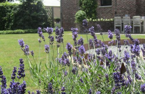Bilzen House | Discover De Staberg: Family-Friendly Retreat with 9.4 Rating