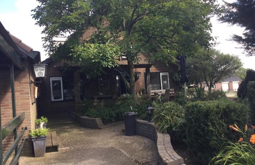 Hernen Bed & Breakfast | Perfect Getaway at De Terp: Pet-Friendly & Family Amenities