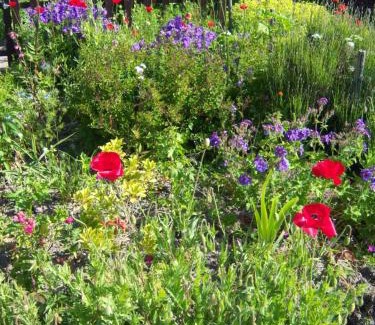 Warffum Bed & Breakfast | Guest Rated 9/10 at de Twee Paardjes - Cozy Breakfast Stay