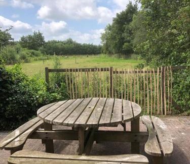 Damwald Resort | Eco-Friendly Retreat at De Weide - Camping Botniahiem