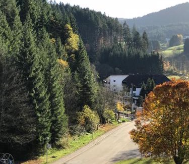 Kalberbronn Hotel | Eco-Friendly Getaway at Decker's Bio Hotel zum Lamm