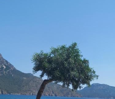 Adrasan Villa | Unforgettable Stay at Dedemuem Adrasan with Oceanfront Views