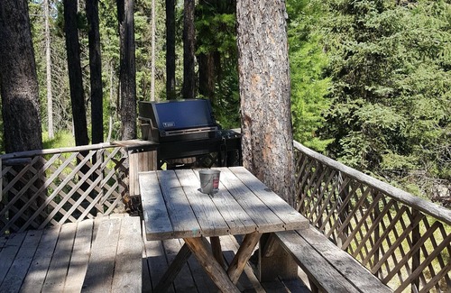 Condon Cabin | Discover Deer Leap: Rustic Cabin Amidst Scenic Pines