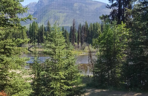 Condon Cabin | Discover Deer Leap: Rustic Cabin Amidst Scenic Pines