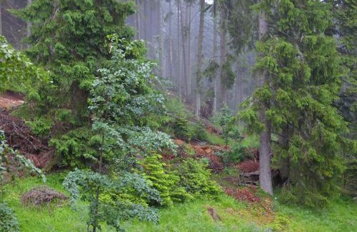 Pamporovo Apartment | Cozy Retreat: Deer's Home at Elit Pamporovo - Guest Rated 9.8
