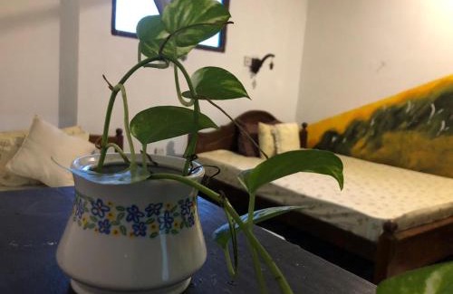 Hikkaduwa House | Deeruk Guest House Hikkaduwa