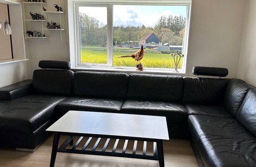Nykobing Mors Cottage | Cozy Holiday Home in Ejerslev Near the Harbor