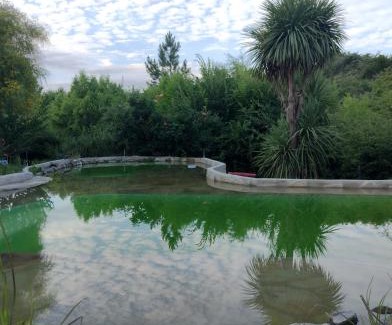 Alta Gracia Apartment | Eco-Friendly Del Sol a la Montaña EcoLodge with Pool & More