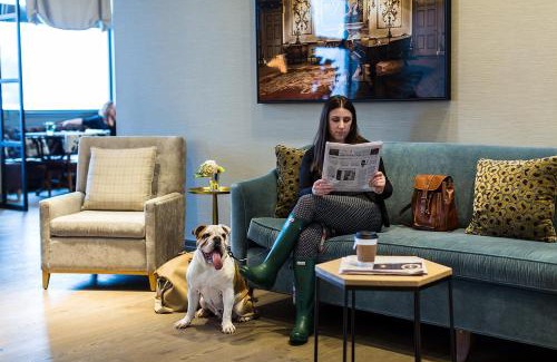 West Hartford Hotel | Explore Delamar West Hartford: Pet-Friendly Retreat with Breakfast