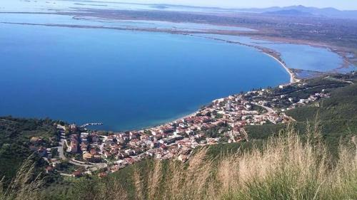 Menidion Hotel | Discover Delfini Hotel: Family-Friendly & Accessible Stay