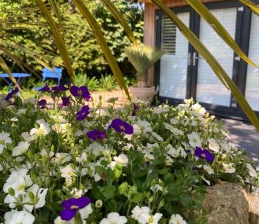 Chichester Apartment | Charming Self-Contained Retreat in Picturesque Village