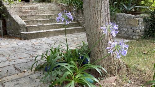 Torrazza Apartment | Cozy Garden Retreat with Ocean Views in Lush Liguria