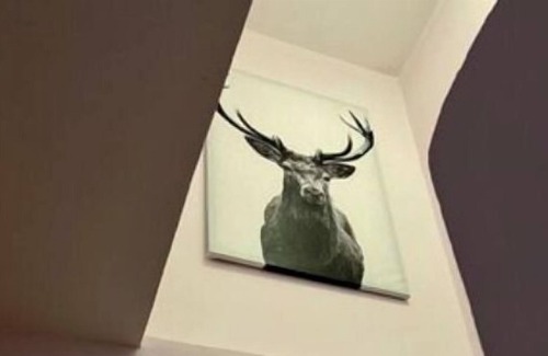 Kabatas Apartment | Delux Bosphorus Duplez at city center