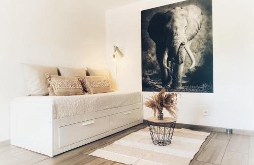 Saverne Apartment | Experience Comfort at DELUX L'EVASION - Pet Friendly Stay