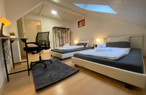 Bad Friedrichshall Apartment | Business Suite Near Audi with Netflix & Parking Included