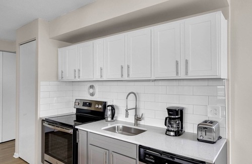 Oak Park Apartment | Modern Oak Park 1BR with Lounge & Roof near Downtown