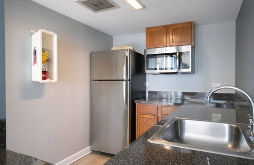 Oak Park Apartment | Modern Oak Park 1BR with Lounge & Roof near Downtown