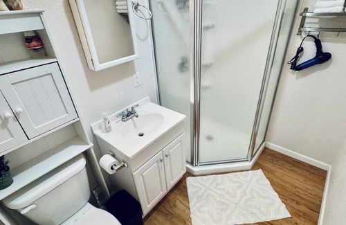 Craig Apartment | Oceanfront Deluxe Queen Suite C with Pet-Friendly Amenities
