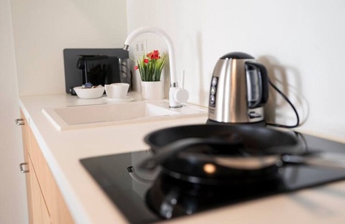 Wieseck Apartment | Premier Suite for Ultimate Living and Working Comfort