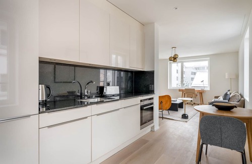 Sihlfeld Apartment | Contemporary Wiedikon Room with Kitchen Near the Market