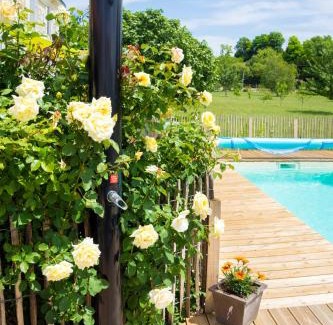 Saint-Thomas-de-Conac House | Elegant Stay at Demeure d'Alienor with Oceanfront Pool