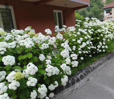 Sumece Villa | Discover Demmir: Pet-Friendly Retreat with Hot Tub & Dining