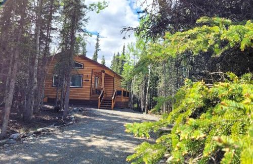 Healy House | Cozy Denali Wild Stay - Moose Cabin, 9.8 Rated & Free Wifi