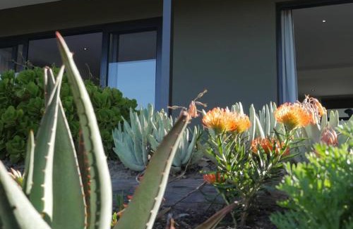 Knysna Apartment | Oceanfront denBosch Cottages with Hot Tub & Great Reviews