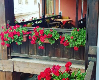 Koprivshtitsa House | Pet-Friendly Denis Guest House with Kitchen & Great Reviews