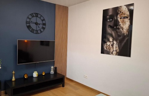 Evere Apartment | Denisa's Appartament