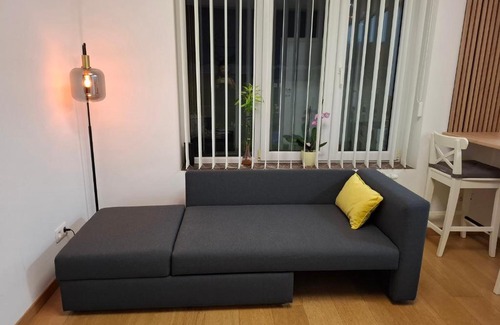 Evere Apartment | Denisa's Appartament