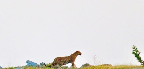 Devgarh House | Discover Deogarh Hills: A Unique Village Experience